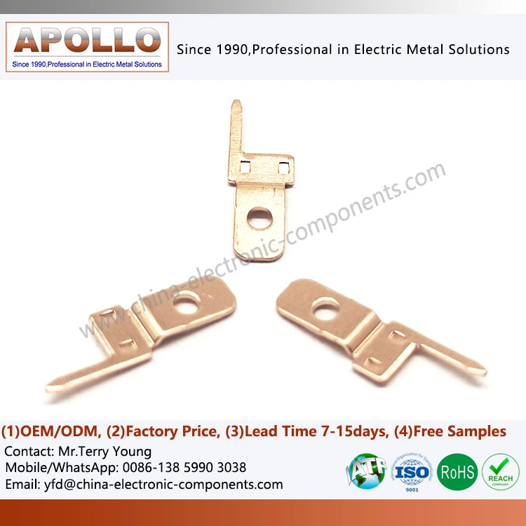 Beryllium Copper Flat Spring Beryllium Copper Flat Spring